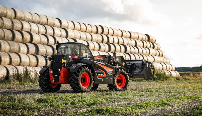 Black limited edition verreikers Bobcat Vangaever 08