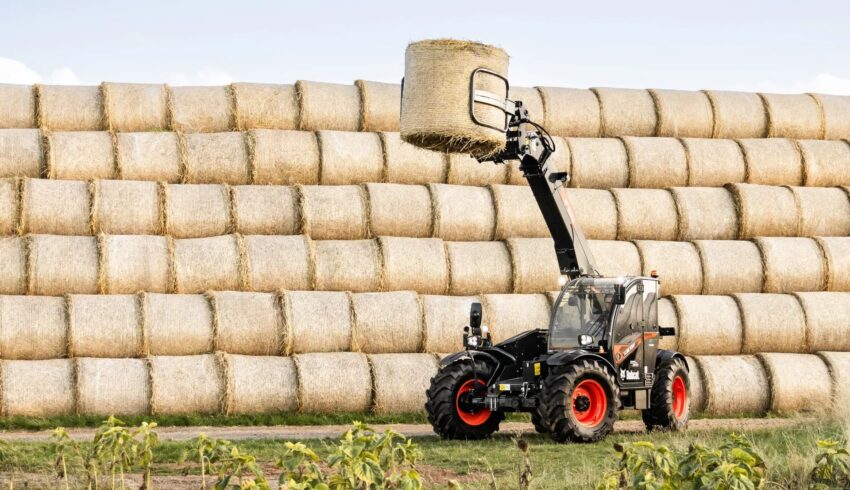 Black limited edition verreikers Bobcat Vangaever 09