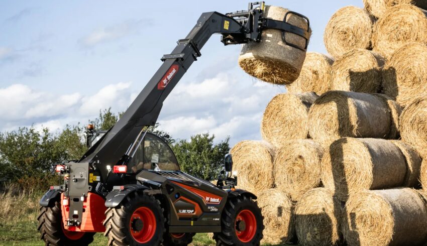 Black limited edition verreikers Bobcat Vangaever 12