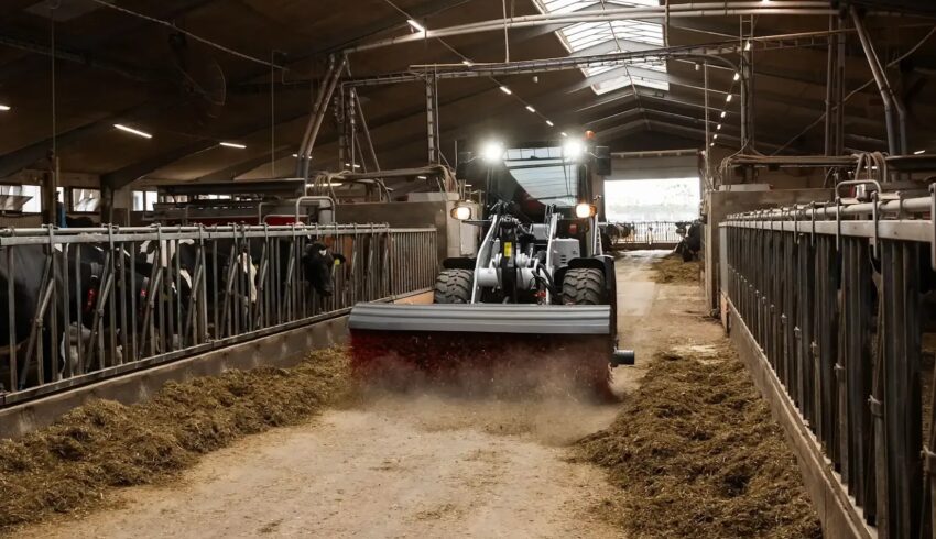 Bobcat L85 en L100 OP Galabau Vangaever Bobcat 10