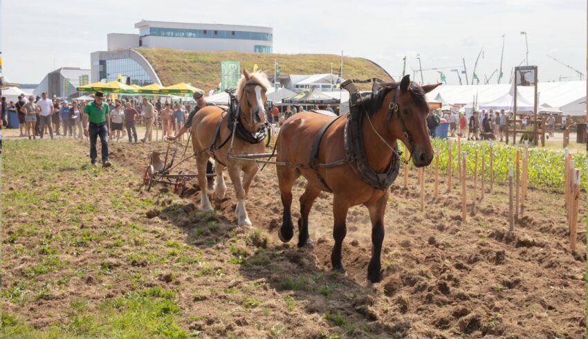 Libramont 2023 Bobcat Vangaever 06