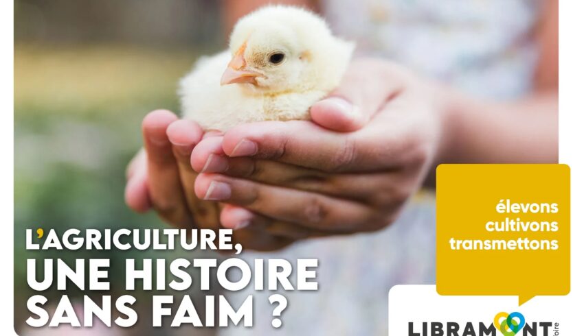 Libramont 2023 Bobcat Vangaever 07