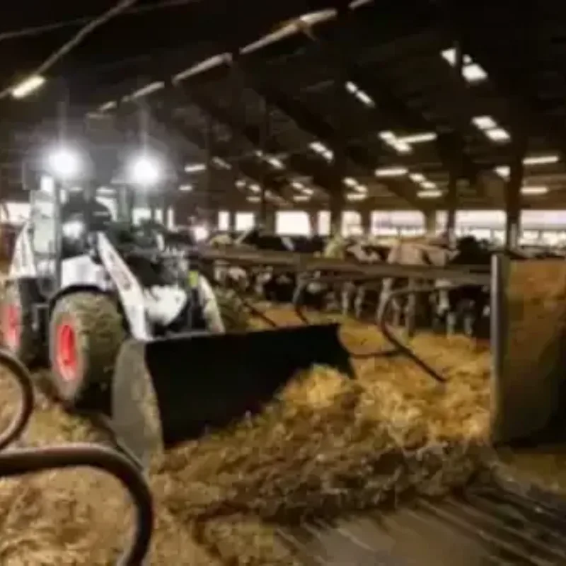 Trots op je job Trots op je Bobcat Vangaever Bobcat 10