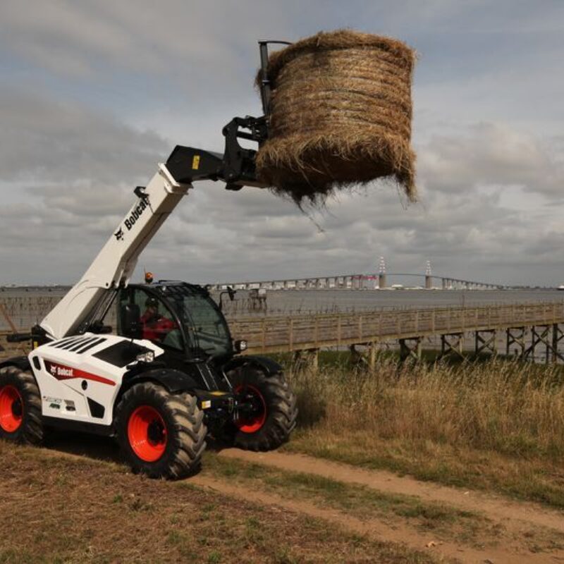 Balenklem met tanden Bobcat Vangaever 3