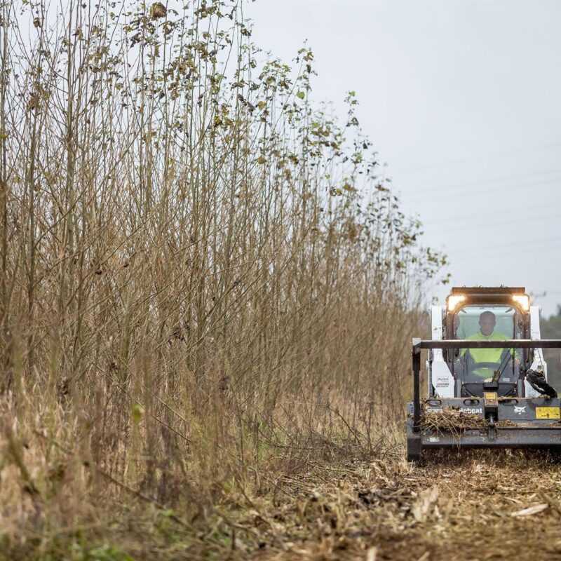 Bobcat T590 rupslader Bobcat Vangaever 03