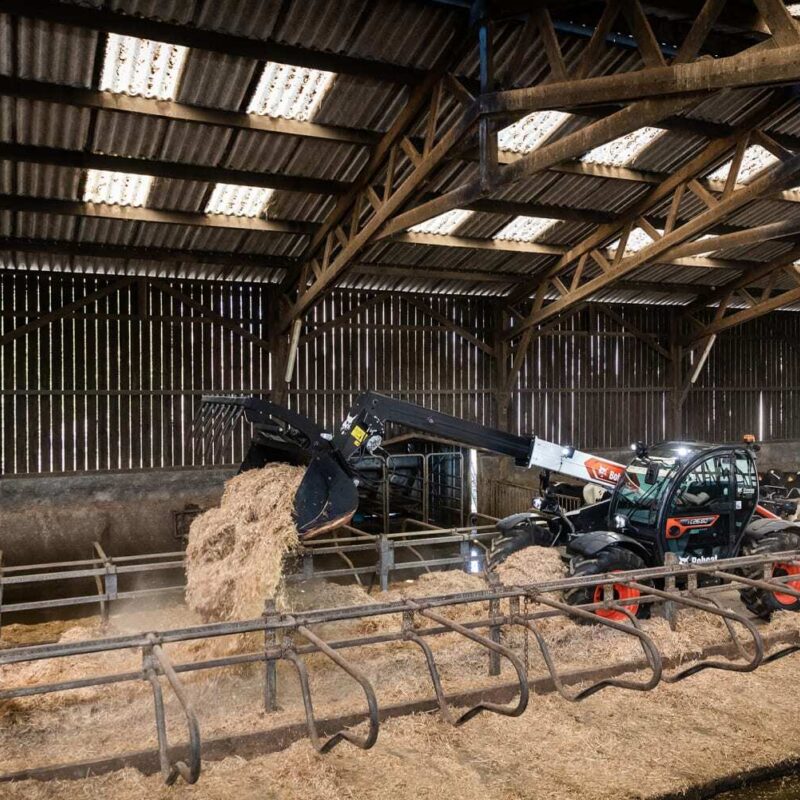Bobcat verreiker voor de landbouw TL26 60 Bobcat Vangaever 02