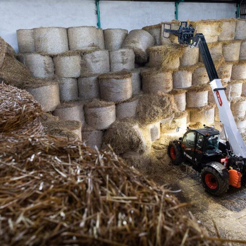 Bobcat verreiker voor de landbouw TL43 80 HF Bobcat Vangaever 04