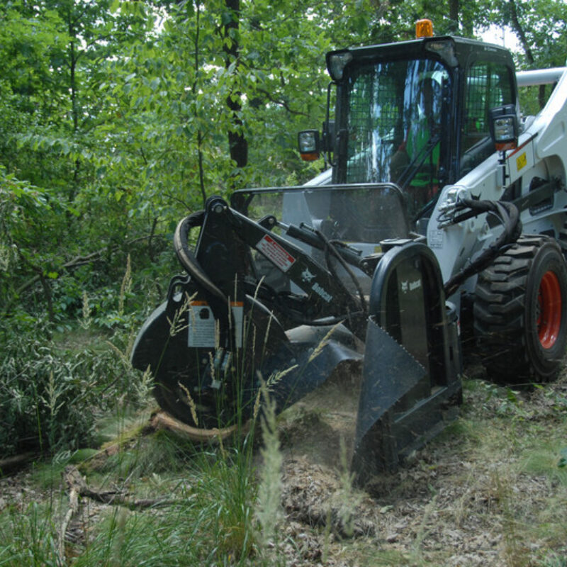 Boomstronkenfrees Bobcat vangaever 2