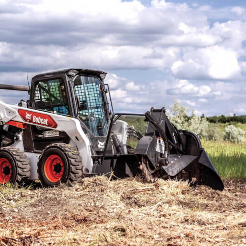 Boomstronkenfrees Bobcat vangaever 5