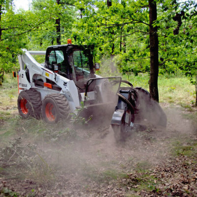 Boomstronkenfrees Bobcat vangaever 6