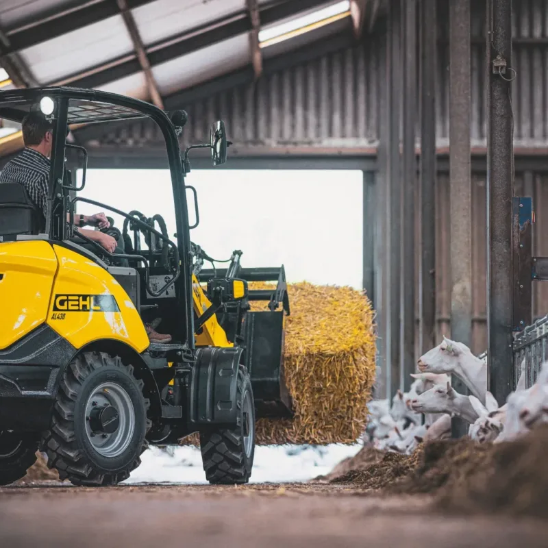 Gehl AL430 kniklader Vangaever 1