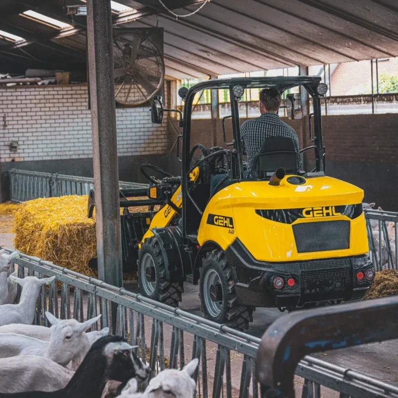Gehl AL430 kniklader Vangaever 5
