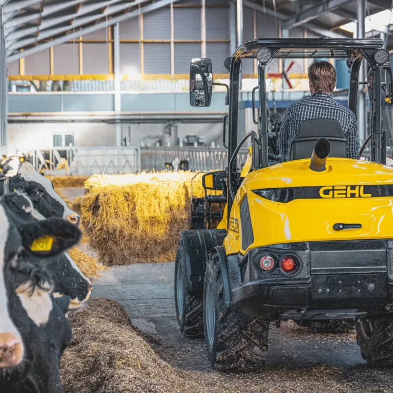 Gehl AL530 kniklader Vangaever 4