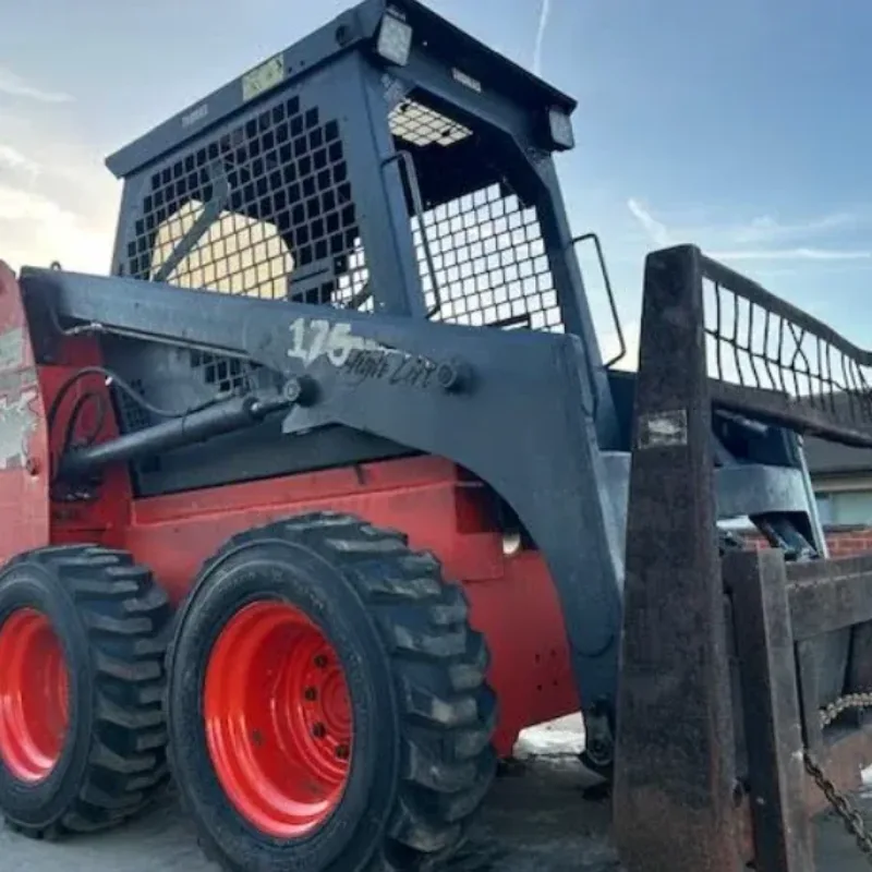 Thomas 175 Vangaever 03