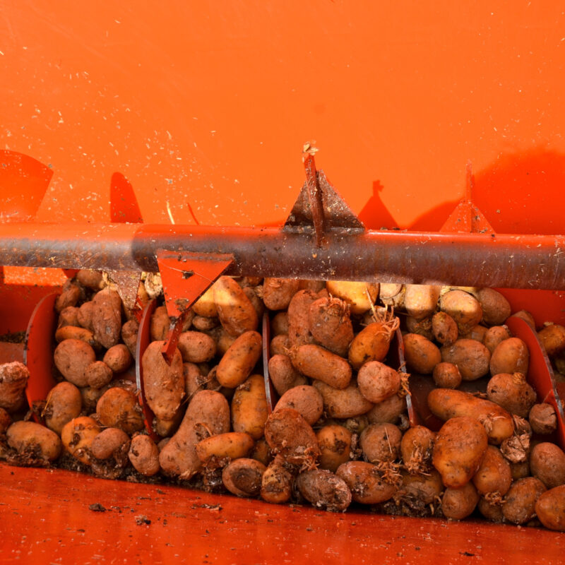 Voederbak bobcat vangaever 5