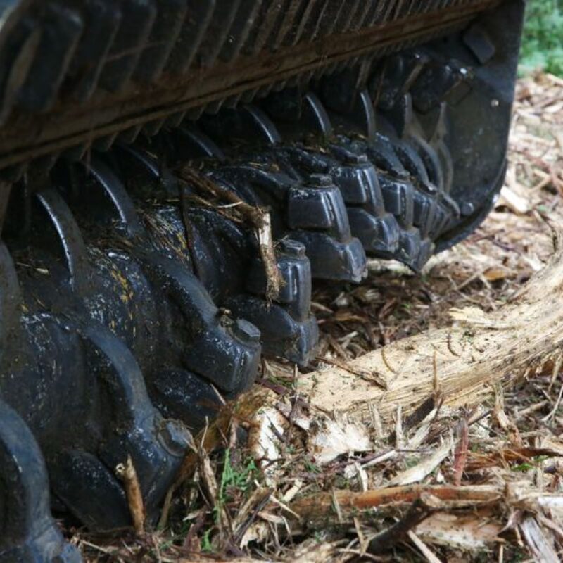 Boomfrees bobcat vangaever 02