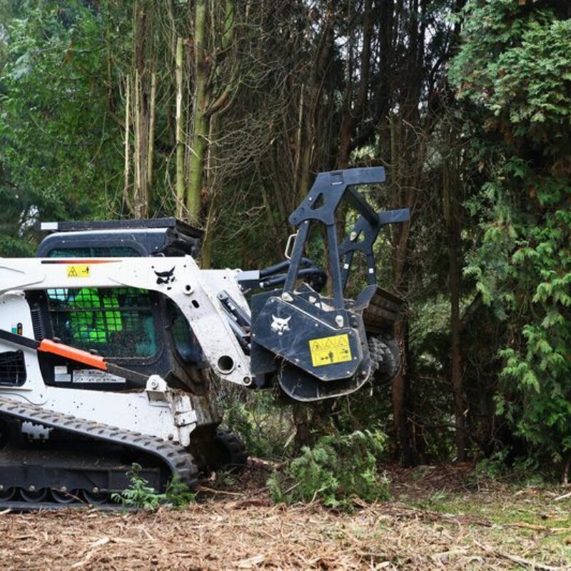 Boomfrees bobcat vangaever 04
