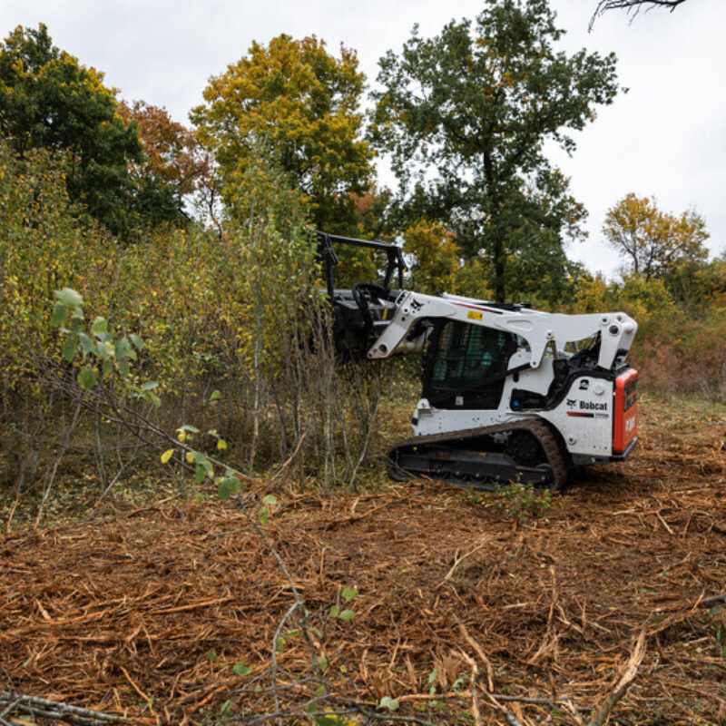 Boomfrees bobcat vangaever 05
