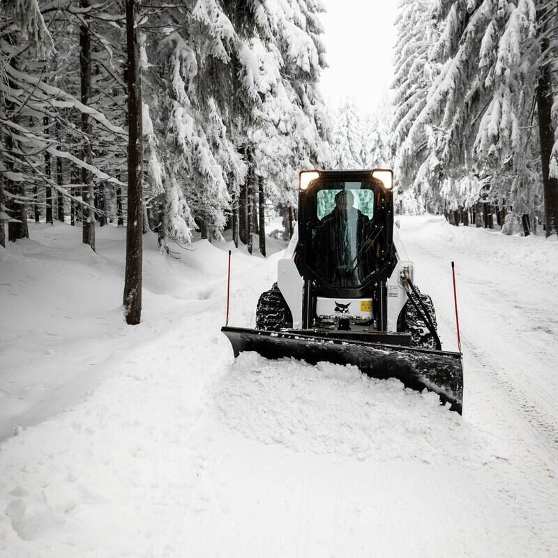 Sneeuwblad bobcat vangaever 2