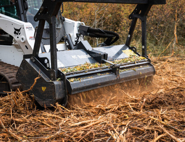 Boomfrees bobcat vangaever 01