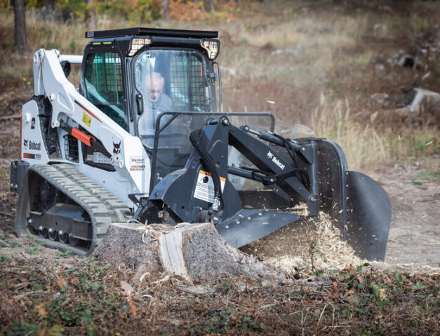 Boomstronkenfrees Bobcat vangaever 1