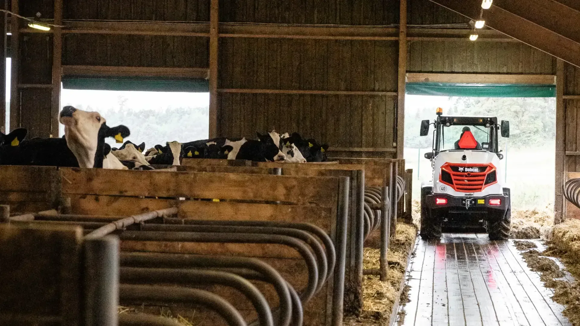 Bezoek Bobcat op Agribex