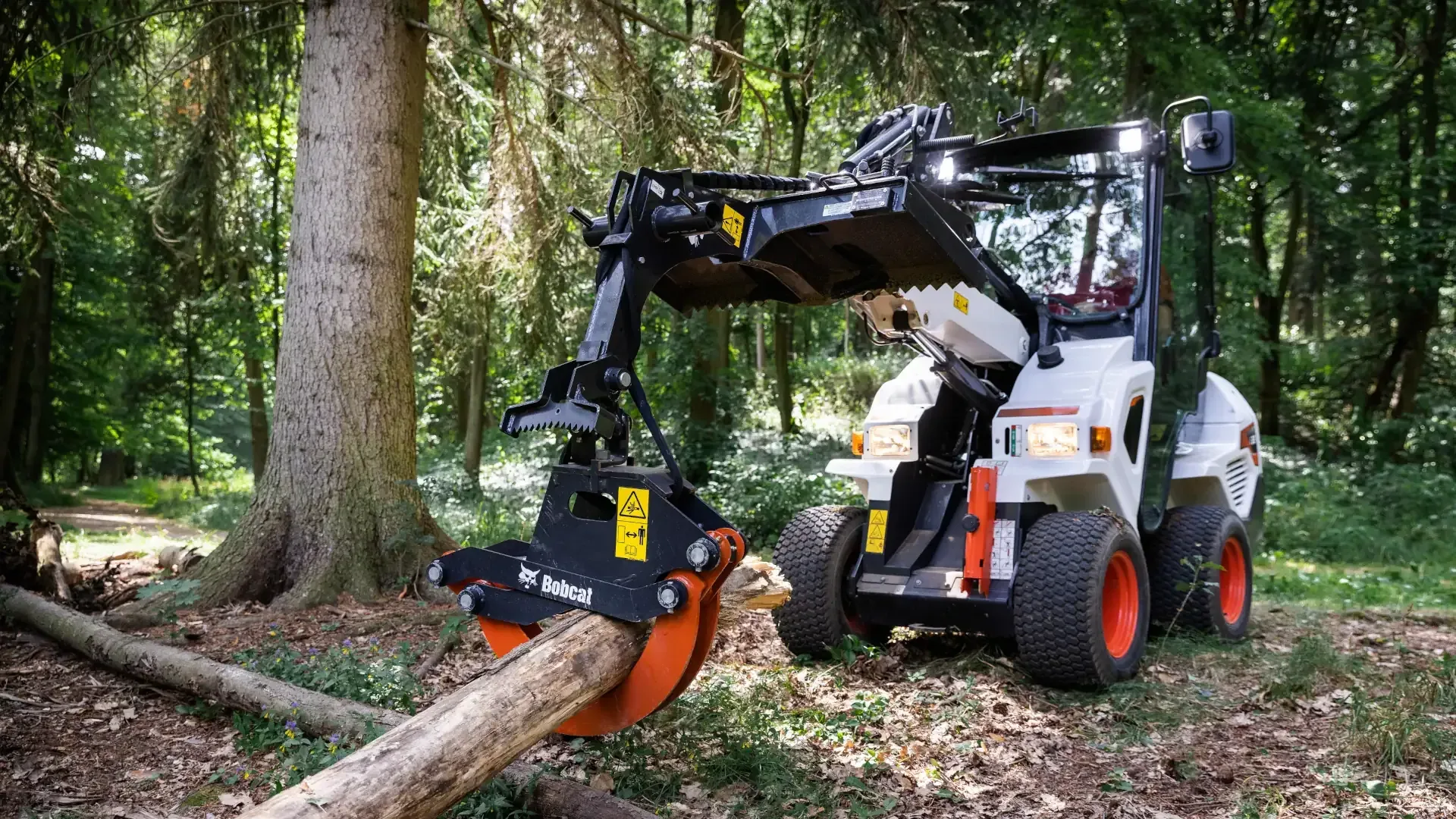 Bobcat kniklader bosbouw Vangaever Bobcat 01