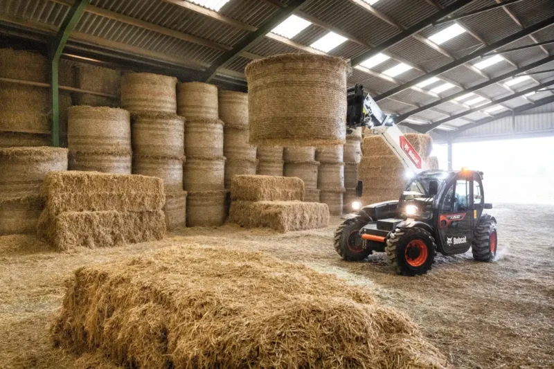 Bobcat TL25 60 verreiker voor landbouw 03