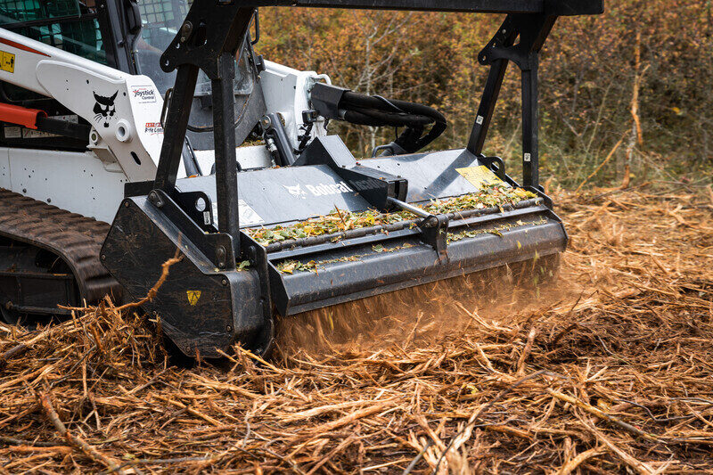 Boomfrees bobcat vangaever 01