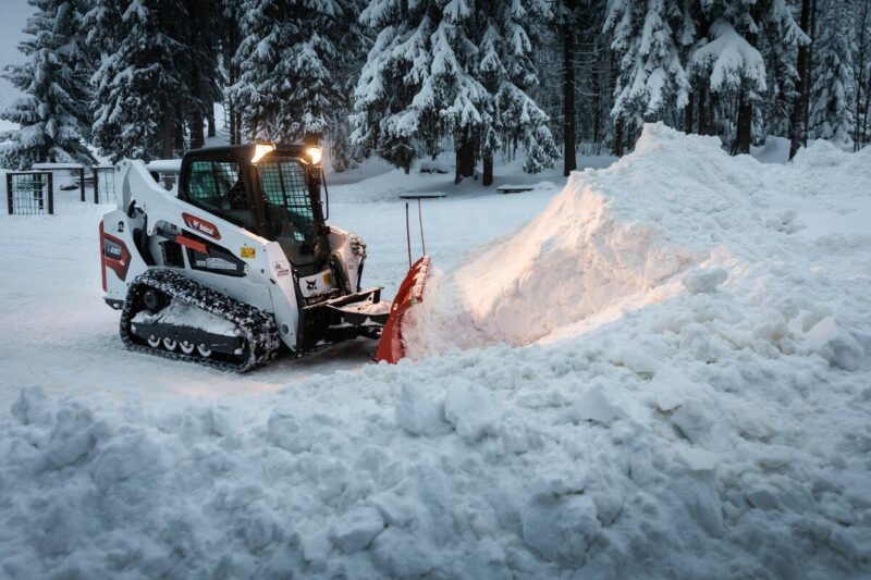 Sneeuwblad bobcat vangaever 1