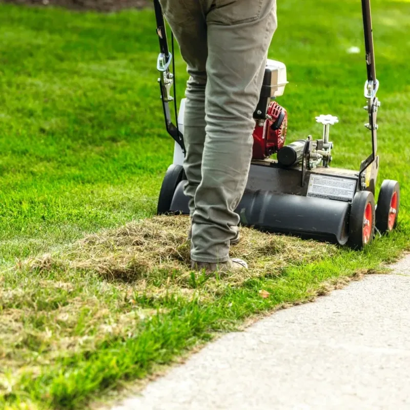 Bobcat verticuteerder Vangaever dt18 04